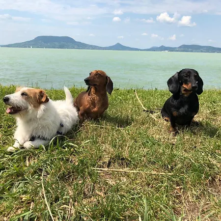 Iker Nyaralo Апартаменты *