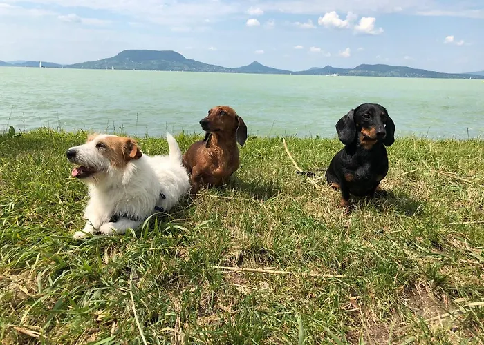 Iker Nyaralo شقة *