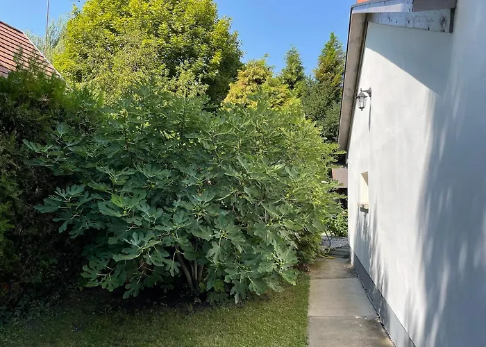 Lejlighed Iker Nyaralo Balatonfenyves